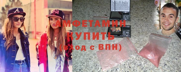 прущие грибы Алзамай