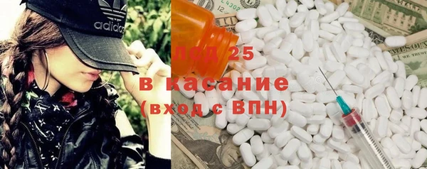 прущие грибы Алзамай