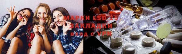 прущие грибы Алзамай